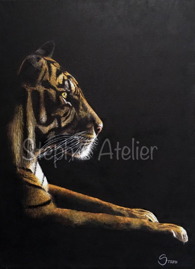 Dashika, Bengaalse tijger 