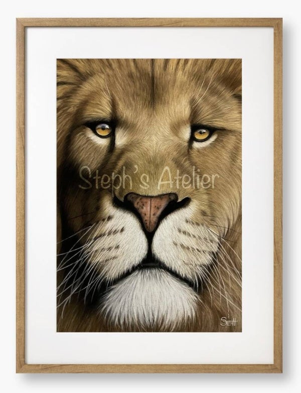 Ingelijste afbeelding “Close-up leeuw” met passe-partout
