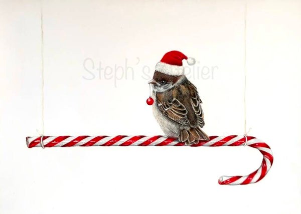 Framed pastelpainting Christmas sparrow/  Ingelijste pasteltekening Kerstmus