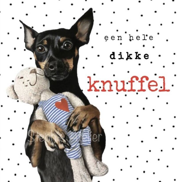 Wenskaart Teddy & teddy knuffel