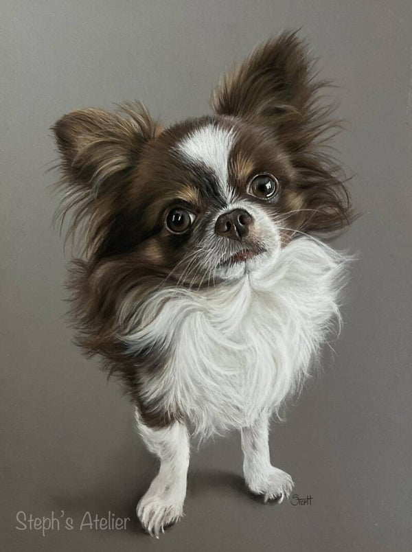 Canvas “Gio, Chihuahua”