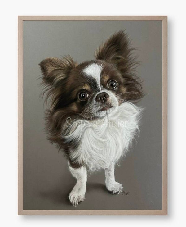 Ingelijste afbeelding “Gio, Chihuahua” zonder passe-partout