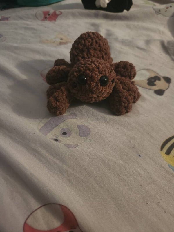 Baby spider