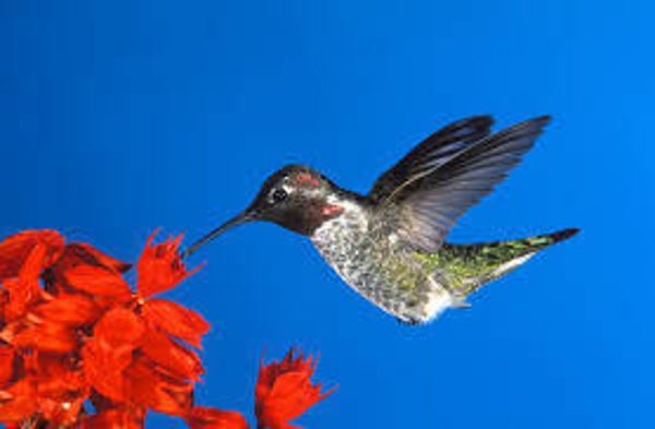 Lezing Loslaten van het verleden 23 september