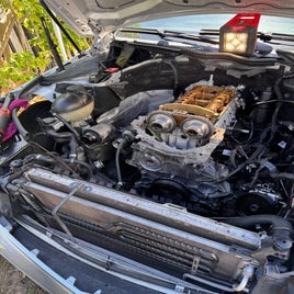 img_1747-standard.jpg