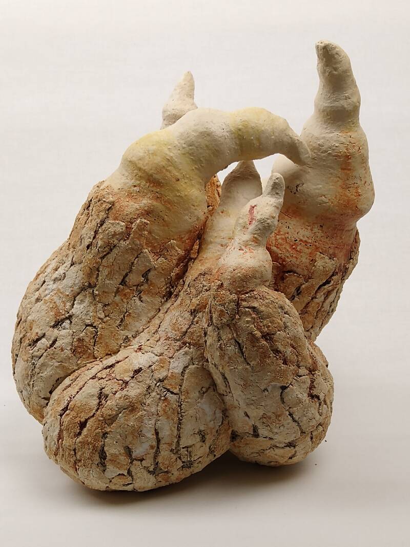 omhulling 1, hoogte 29cm