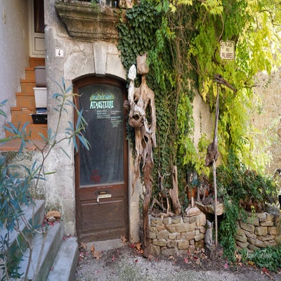 arboras0184-standard.jpg