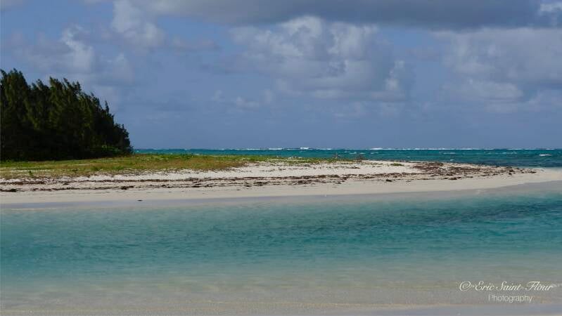 Ile aux cerfs