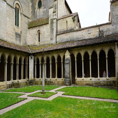 st-emilion0007-standard.jpg