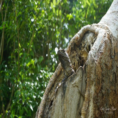 yucatan0087.jpg
