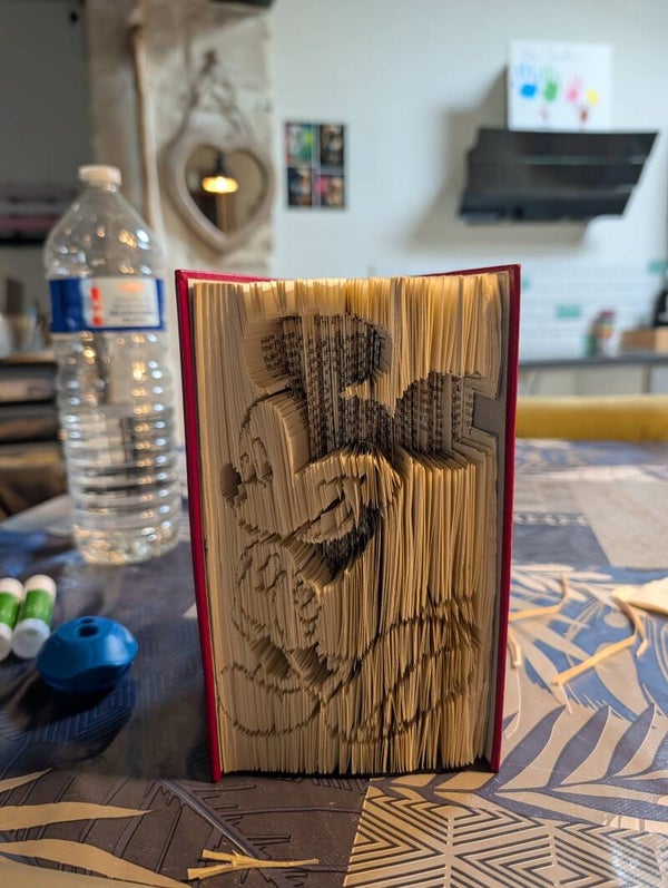 Livre Plié