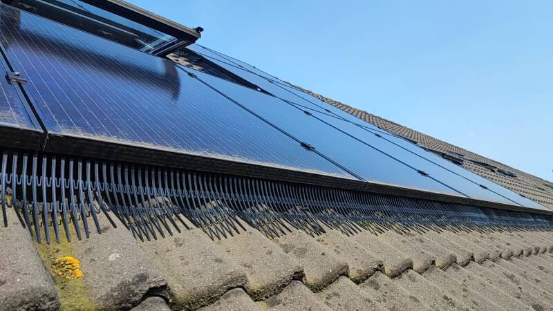 vogelnesten onder zonnepanelen