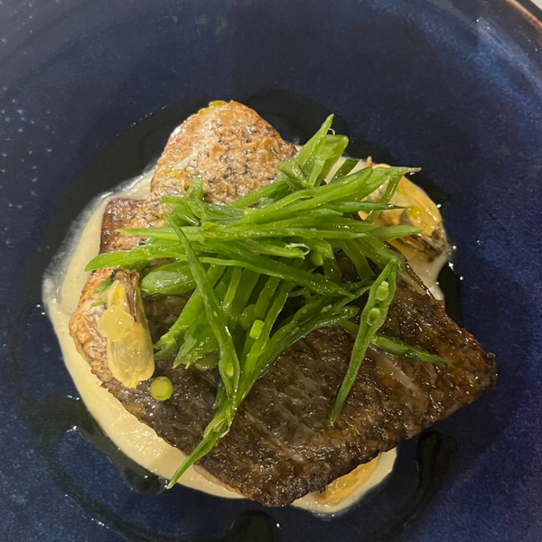 Pan fried Brown meager