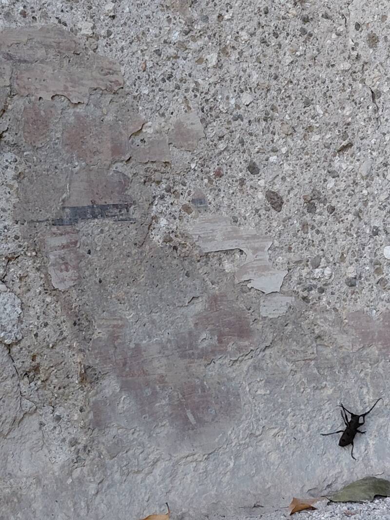Macro di parete con texture porosa in una rovina abbandonata della Tuscia ignota di Castel di Piero