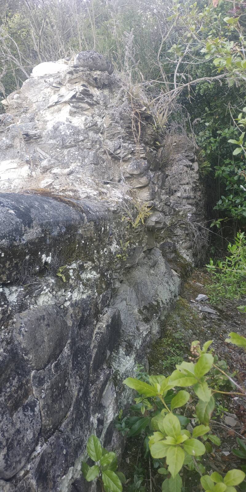 ANTICHE ROVINE LAGO DI CORBARA ORVIETO.  ALTO MURO PERIMETRALE