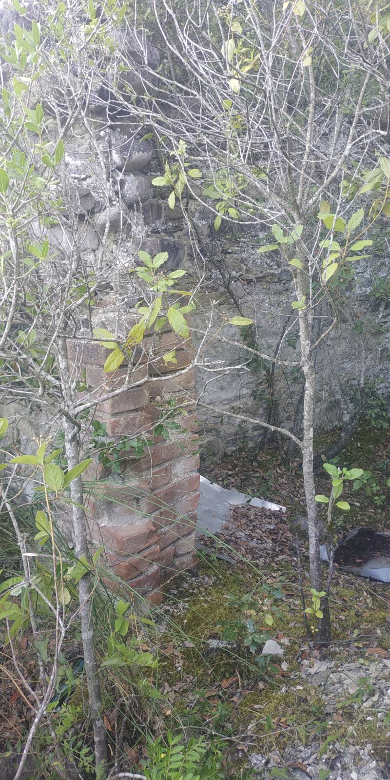 ANTICHE ROVINE CORBARA LUNGOLAGO ORVIETO. BRANDELLO DI MURETTO INTERNO DIVISORIO DI UN AMBIENTE