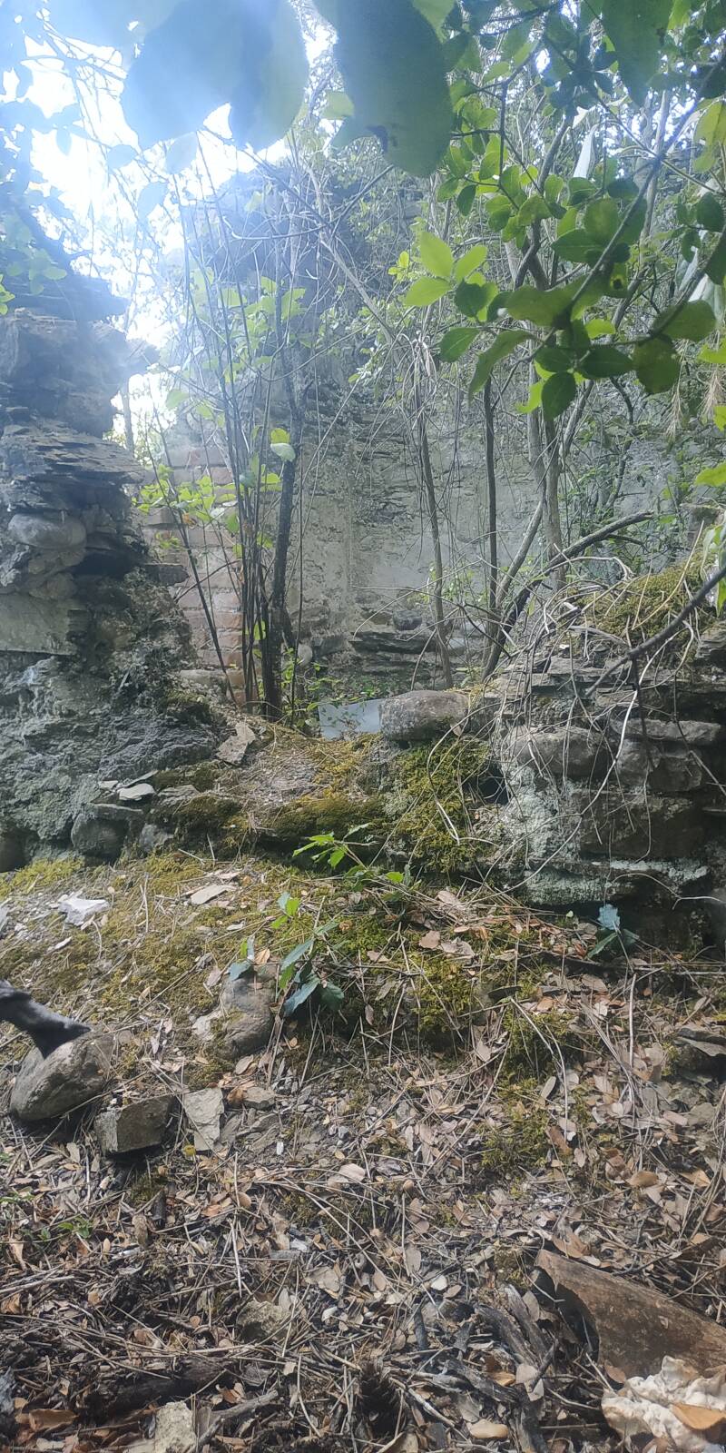 ANTICHE ROVINE SUL LAGO DI CORBARA DI ORVIETO. STRUTTURA DIRUTA CON TRE AMBIENTI INTERNI 
