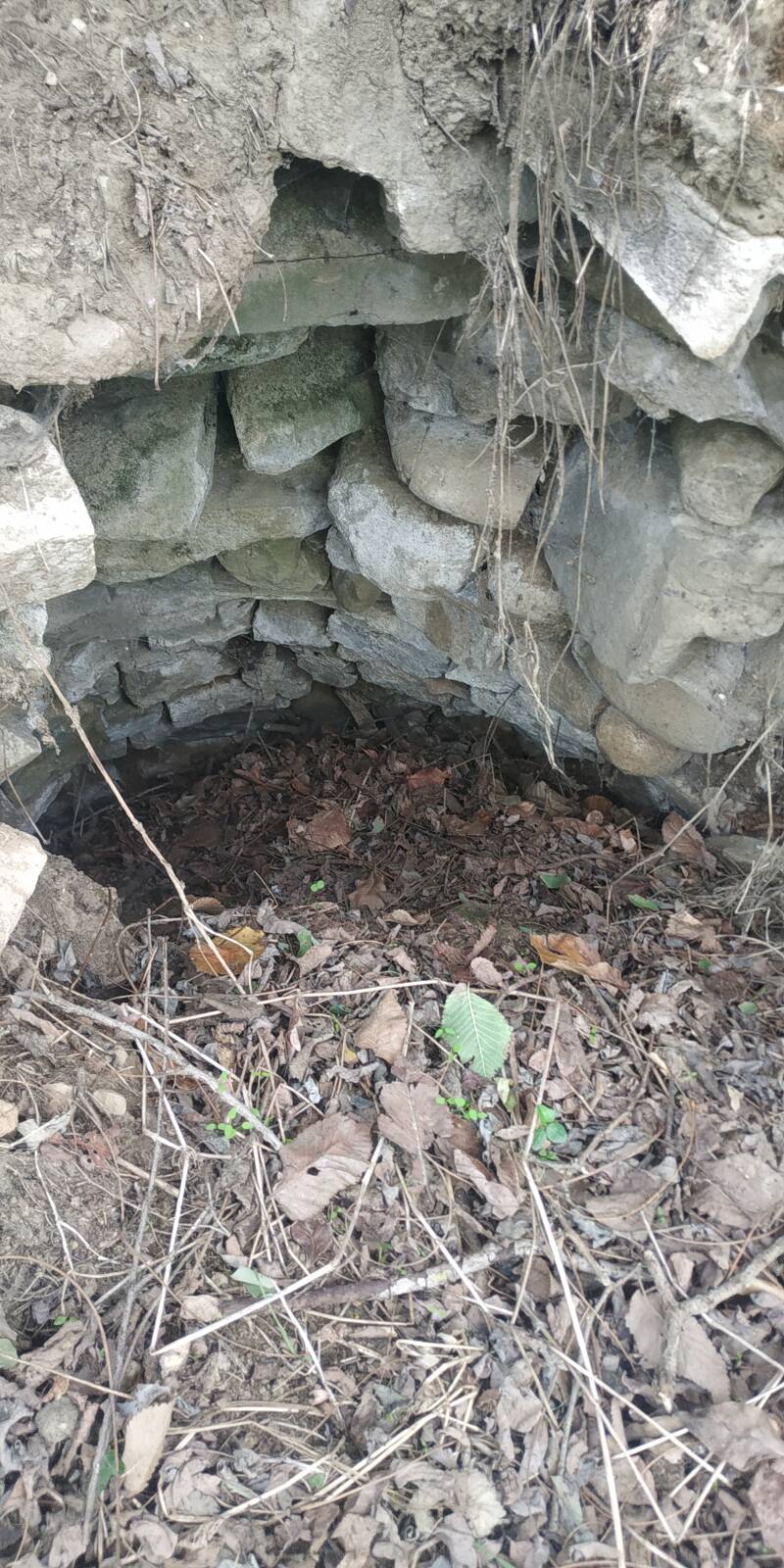 ARCHITETTURA RUPESTRE DELLE PIETRE A SECCO. SITO WEB "IL CIGLIO DI SCAVO-Dallo Strato Zero in Poi" SITO WEB A CURA DI ILARIA PETTINELLI