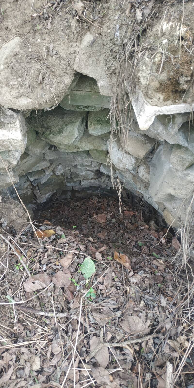 ARCHITETTURA RUPESTRE CON PIETRE A SECCO.  SITO WEB "IL CIGLIO DI SCAVO-Dallo Strato Zero in Poi" A CURA DI ILARIA PETTINELLI