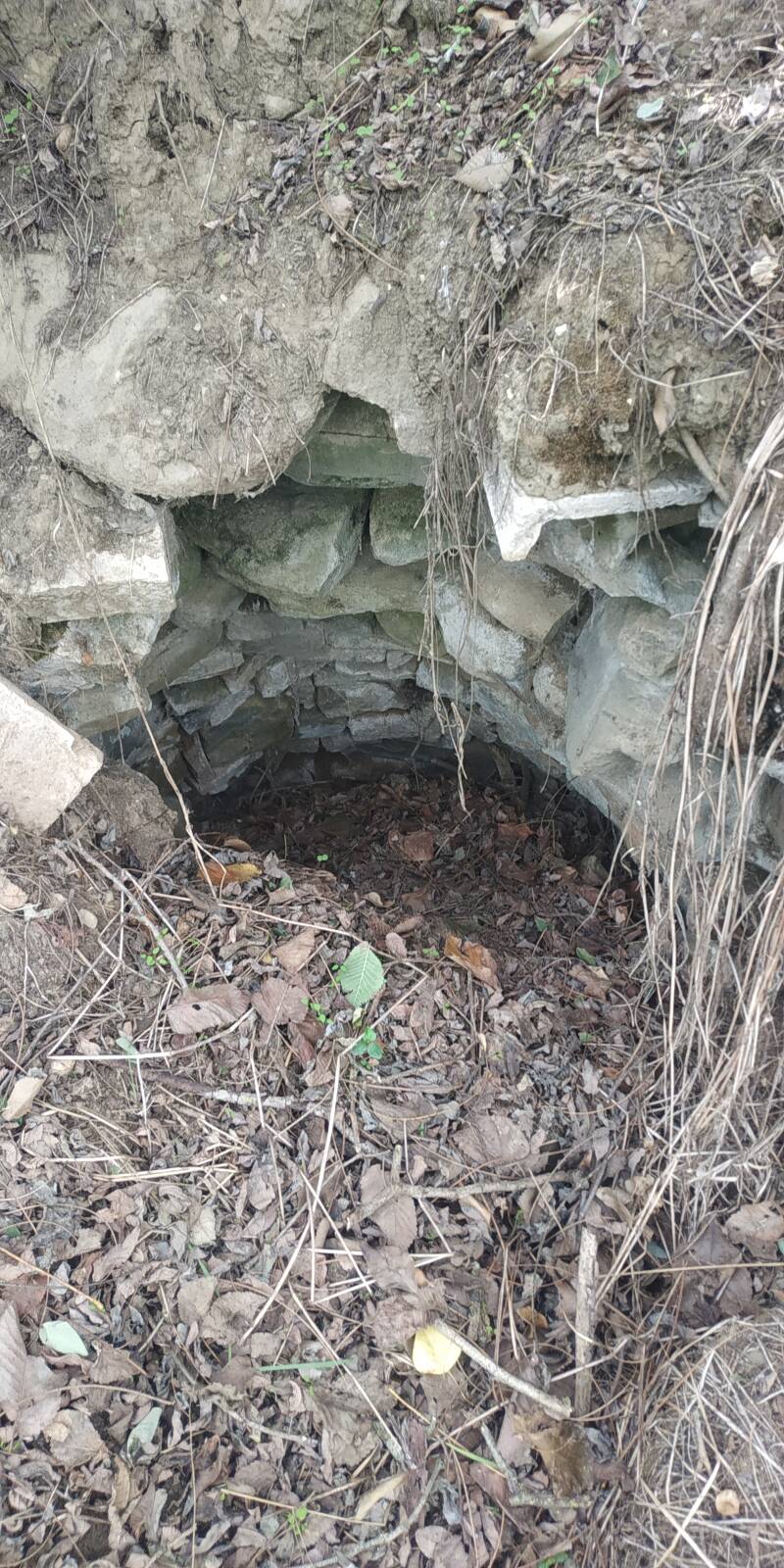 PIETRE A SECCO. SITO WEB "IL CIGLIO DI SCAVO-Dallo Strato Zero in Poi" A CURA DI ILARIA PETTINELLI 