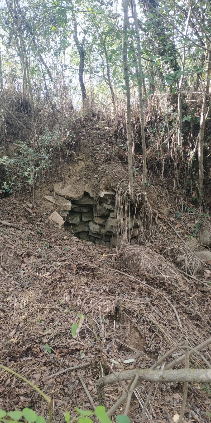 ARCHITETTURA RUPESTRE PIETRE A SECCO. SITO WEB "IL CIGLIO DI SCAVO-Dallo Strato Zero in Poi" A CURA DI ILARIA PETTINELLI.