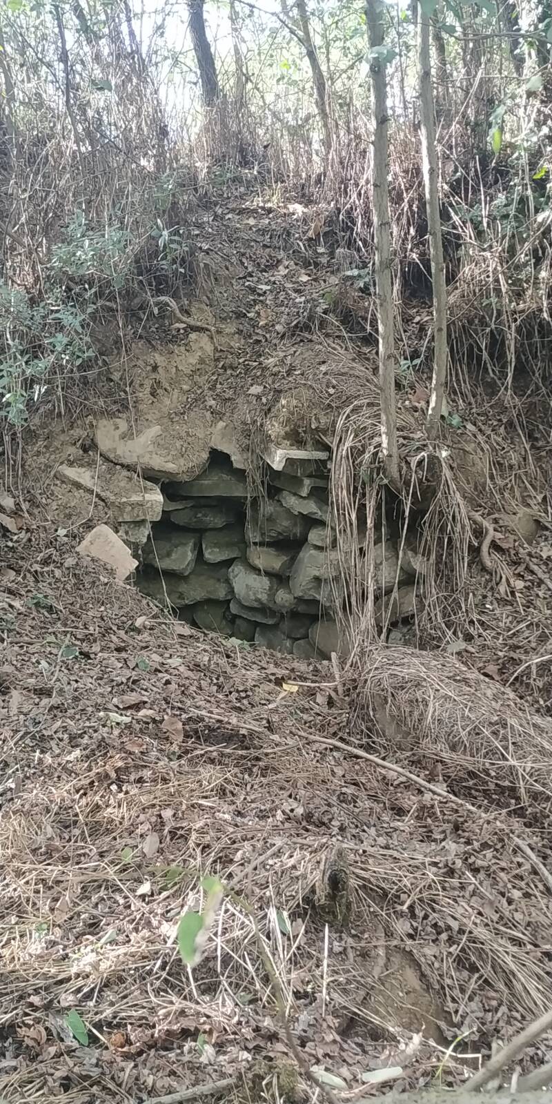 PIETRE A SECCO ARCHITETTURA RUPESTRE. SITO WEB "IL CIGLIO DI SCAVO-Dallo Strato Zero in Poi" A CURA DI ILARIA PETTINELLI