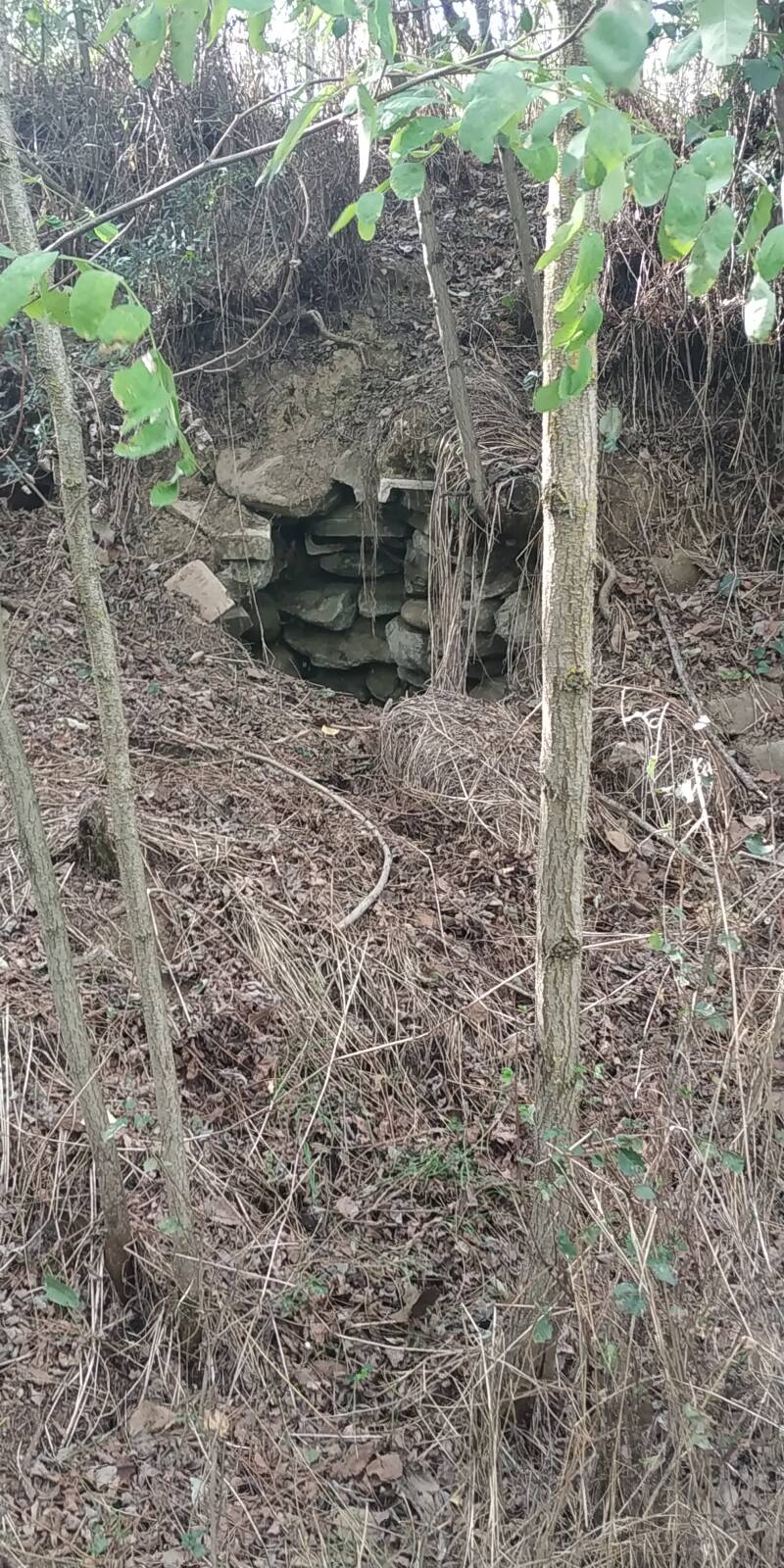 COSTRUZIONE CON PIETRE A SECCO. "IL CIGLIO DI SCAVO-Dallo Strato Zero in Poi" SITO WEB A CURA DI ILARIA PETTINELLI