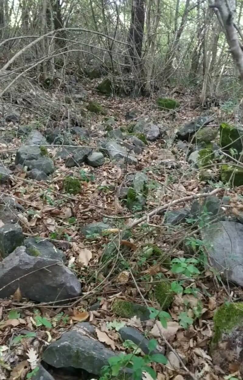 Rilievo di pietre locali sparse con indizio di giacitura secondaria nel sistema Vallocchi