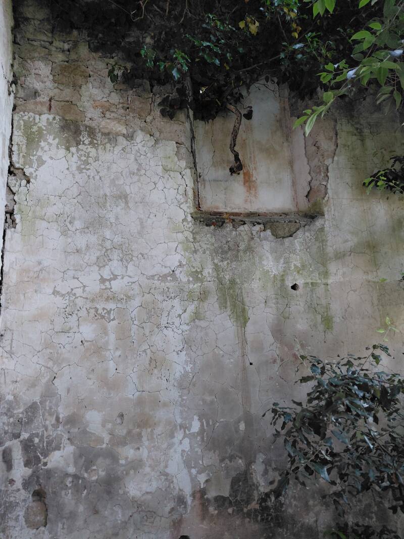 Affresco rovina antica in trompe l'oeil tra la vegetazione selvaggia Castel di Piero