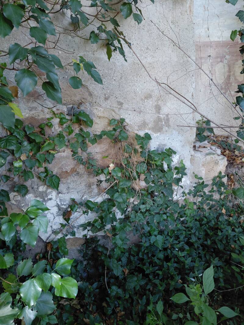 Punto di raccordo tra la parete affrescata e l'imbotte della nicchia con conchiglia nella rovina della Tuscia storica di Castel di Piero