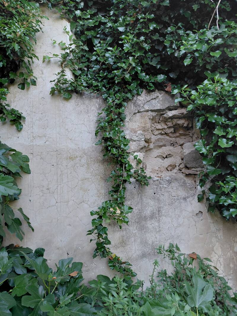 Parete con intonaco crollato nelle rovine in abbandono della tuscia archeologica di San Michele in Teverina