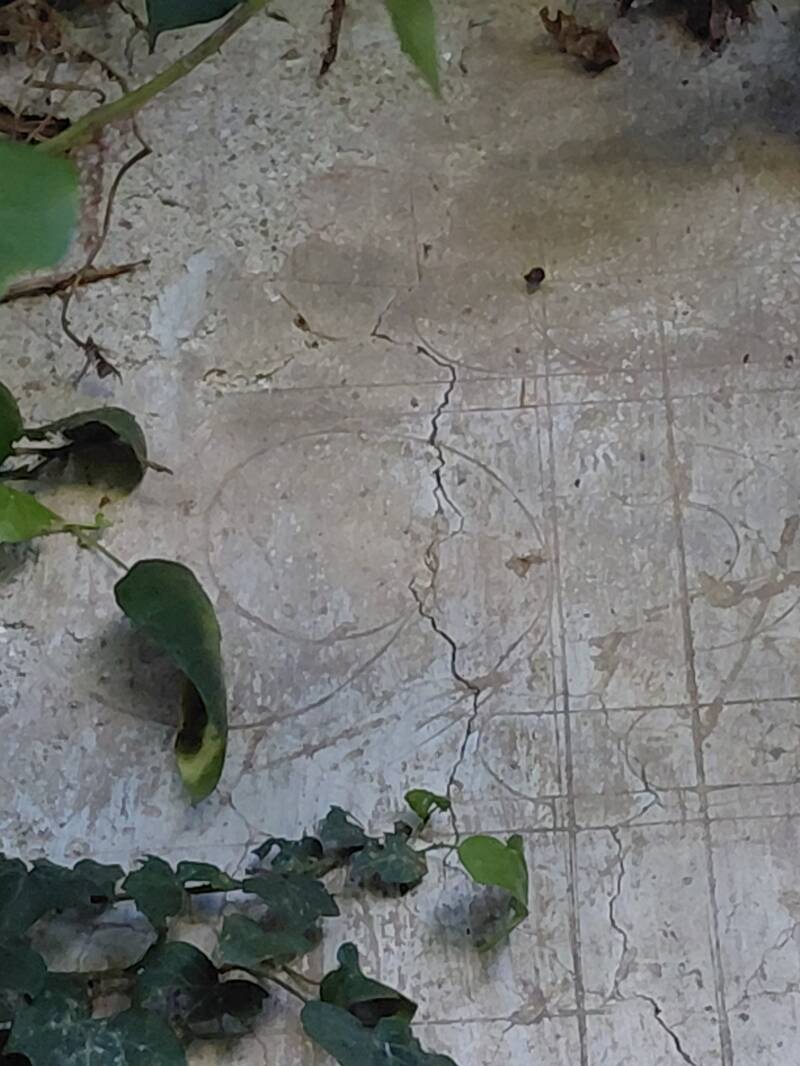 Affresco a trompe l'oeil, Rinascimento, Castello antico di San Michele in Teverina