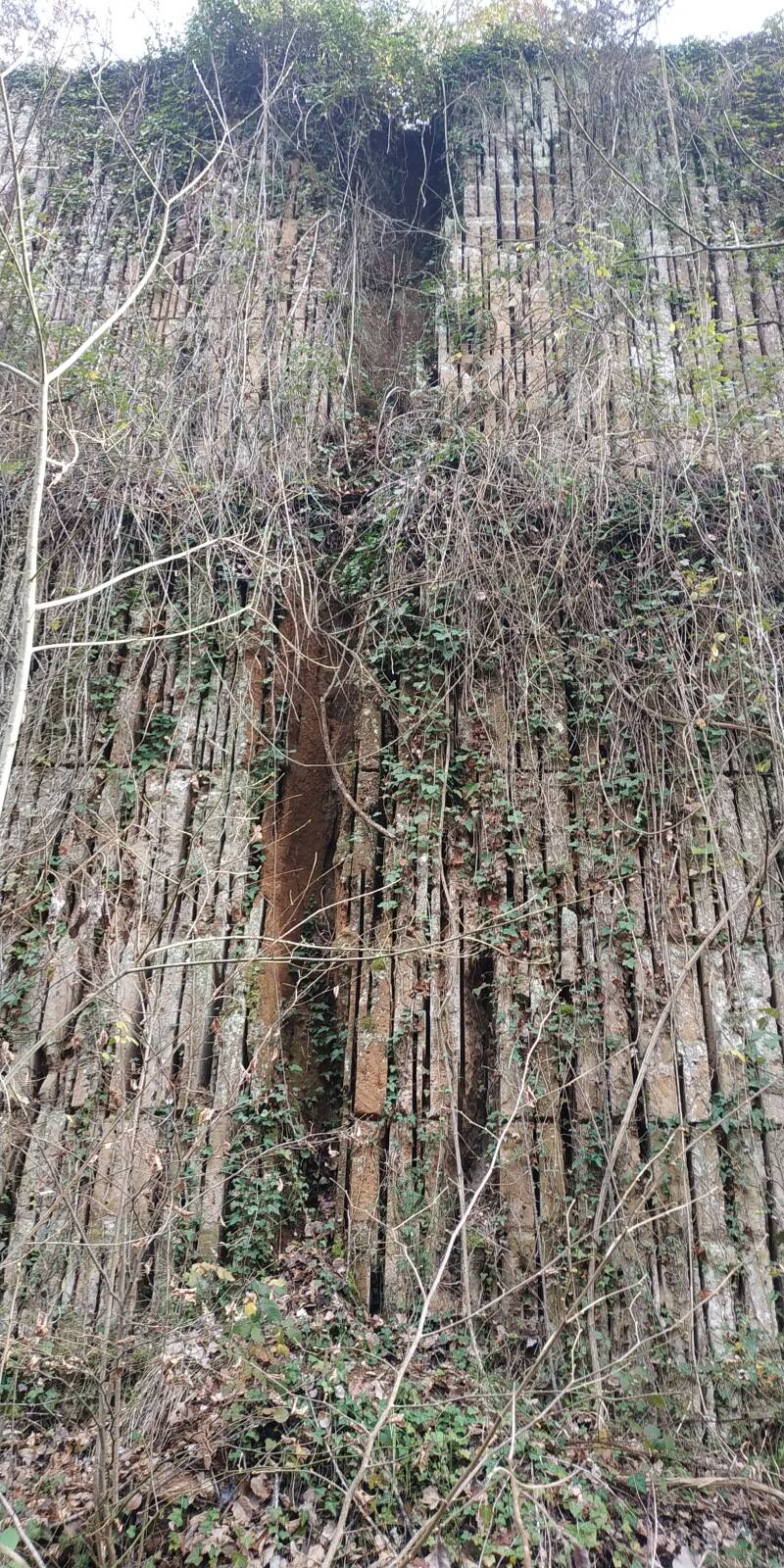 CAVE DIMENTICATE A CIELO APERTO. SITO WEB "IL CIGLIO DI SCAVO-Dallo Strato Zero in Poi" A CURA DI ILARIA PETTINELLI