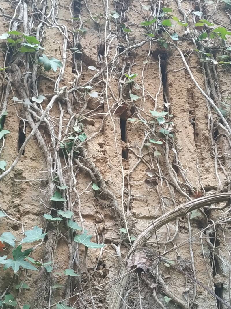 CAVE DIMENTICATE. "IL CIGLIO DI SCAVO-Dallo Strato Zero in Poi" SITO WEB A CURA DI ILARIA PETTINELLI