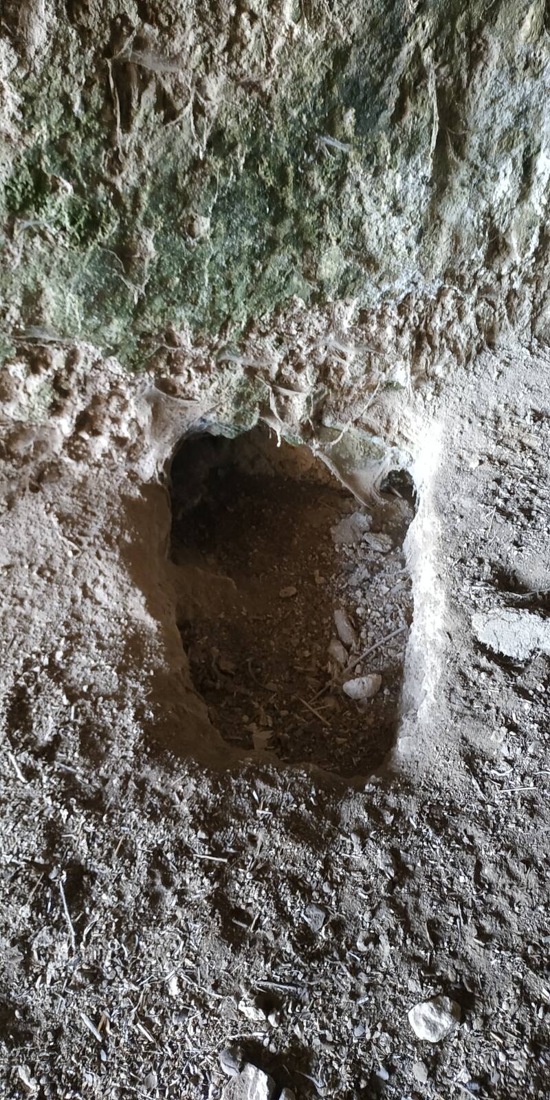 GROTTE COLOMBARIO CON SCALE. SCALA CON UNA SPACCATURA DEL PIANEROTTOLO.  