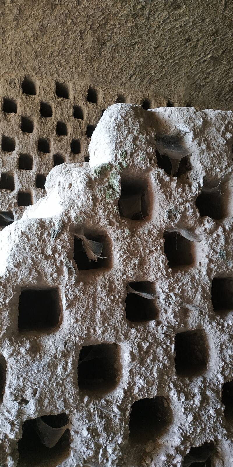 COLOMBARI CON SCALE. SCALA CON CELLE COLOMBARIE SCOLPITE SULLE PARETI. 