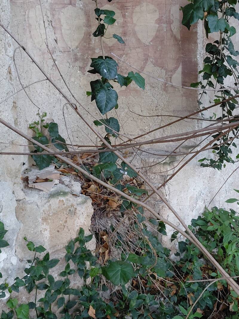 Affresco nicchia inferiore con motivo geometrico a scudi e calici contrapposti presso Tuscia