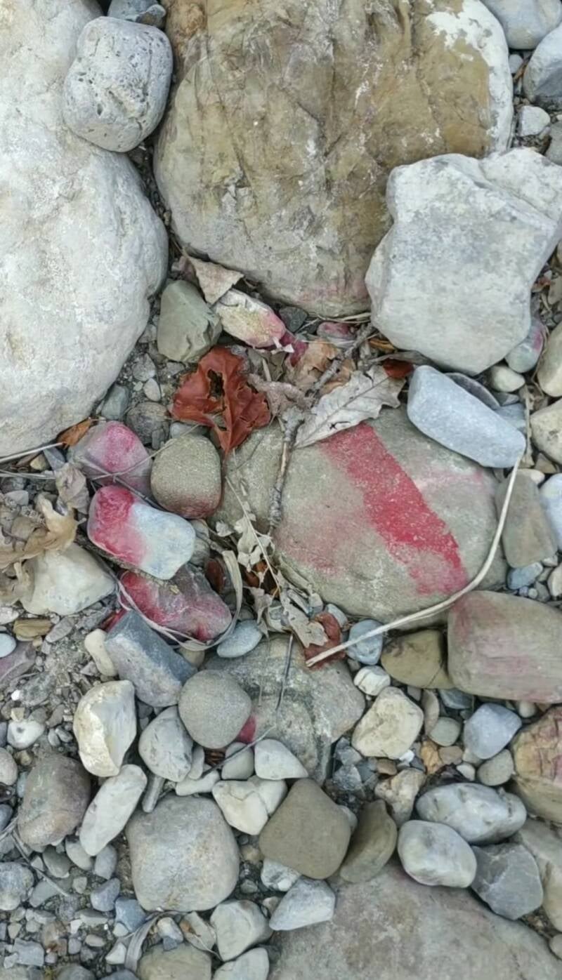 FOSSO CON CONFINE PARTICELLARE. "IL CIGLIO DI SCAVO-Dallo Strato Zero in Poi" SITO WEB A CURA DI ILARIA PETTINELLI