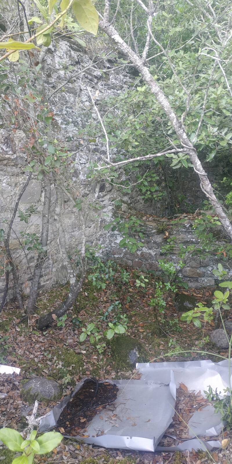 LAGO DI CORBARA DI ORVIETO. COSTRUZIONE A TRE AMBIENTI CROLLATI. IMMAGINE AMBIENTE CENTRALE CON MURETTO DIVISORIO AL CENTRO IN PROSPETTIVA AGOLARE