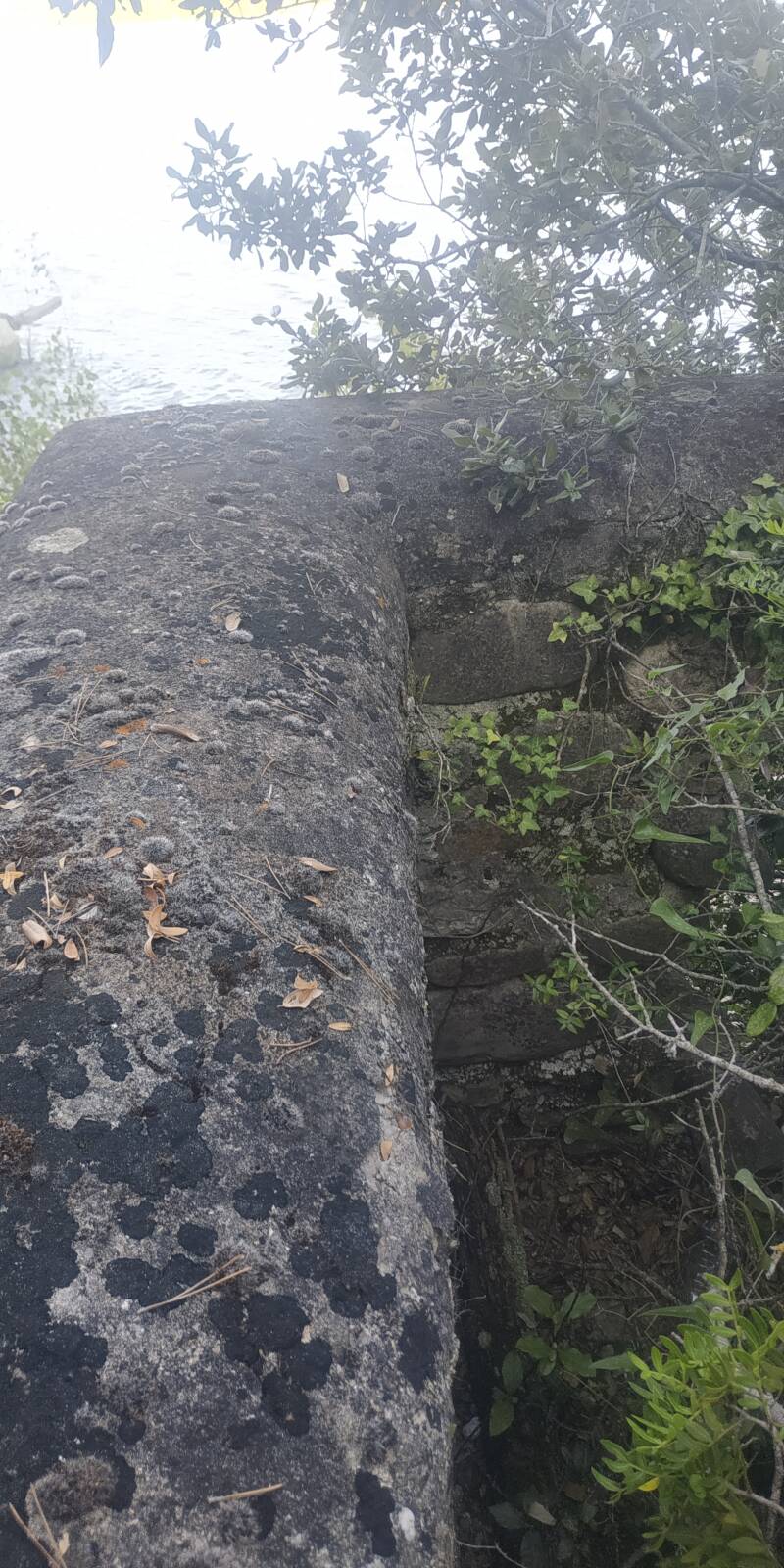 LAGO DI CORBARA ANTICHE ROVINE. ALTO MURO PERIMETRALE DI UNO DEI VANI INTERNI