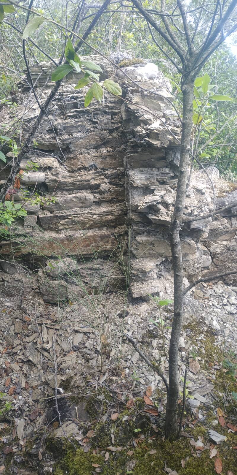 ANTICHE ROVINE PRESSO LAGO DI CORBARA AD ORVIETO. BRANDELLI DI PARETI AD ANGOLO