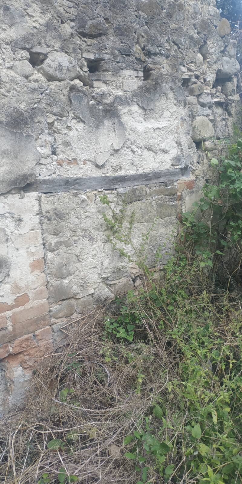 LAGO DI CORBARA ROVINE DI UNA COSTRUZIONE. TORRETTA CON DETTAGLIO DEI SEGNI DI UN'ANTICA  PORTA 