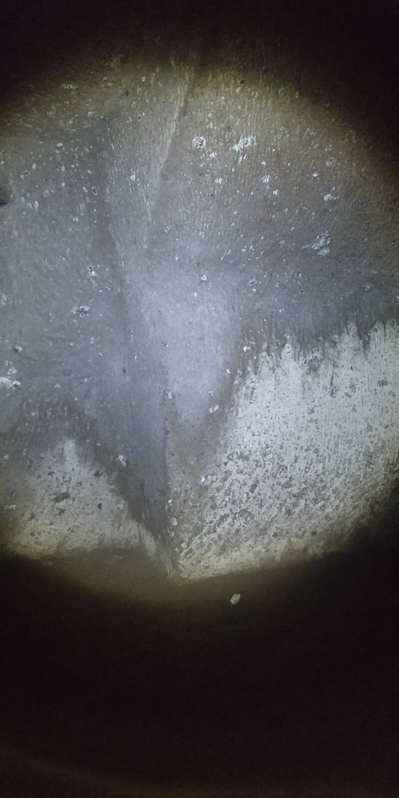 CONSIDERAZIONI SUGLI IPOGEI DI LOIANO.GEI DI LOIANO:  GROTTE CON NICCHIE  CONVENTO SANTA MARIA DEL RIPOSO DI GALLESE.  