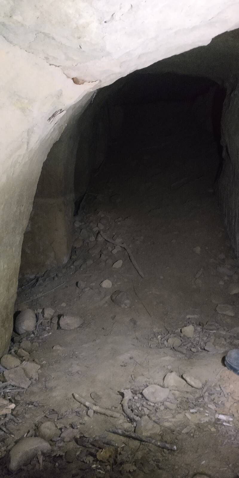 GROTTE CON NICCHIE. SITO WEB "IL CIGLIO DI SCAVO-Dallo Strato Zero in Poi" A CURA DI ILARIA PETTINELLI