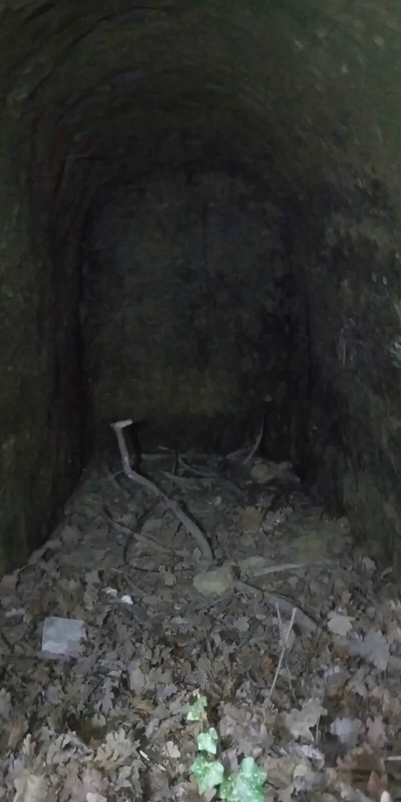 GROTTE CON NICCHIE. SITO WEB "IL CIGLIO DI SCAVO-Dallo Strato Zero in Poi" A CURA DI ILARIA PETTINELLI