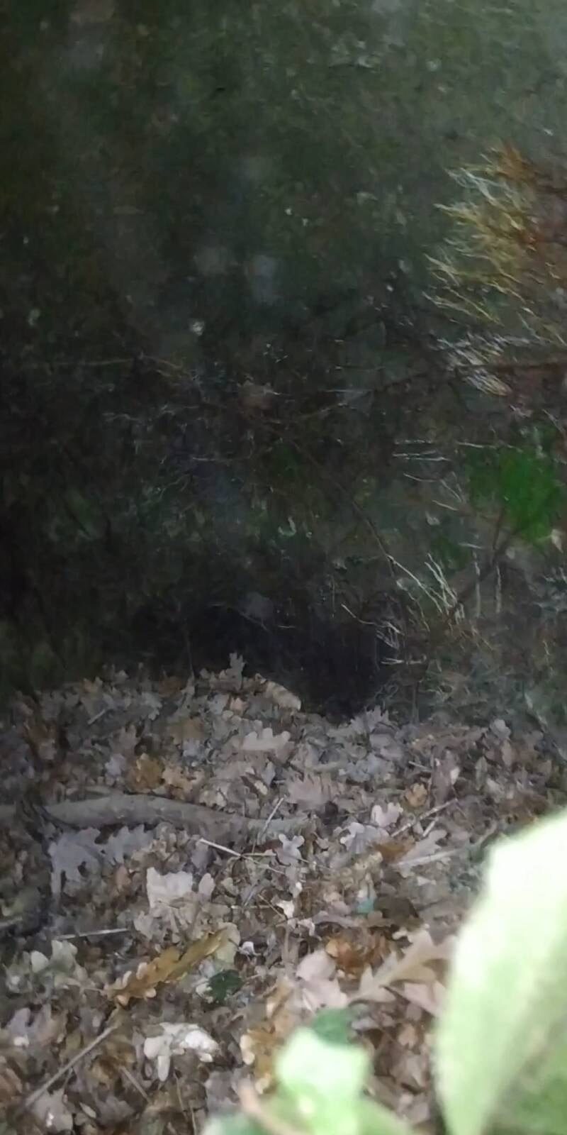 GROTTA CON DUE NICCHIE. SITO WEB "IL CIGLIO DI SCAVO-Dallo Strato Zero in Poi" A CURA DI ILARIA PETTINELLI