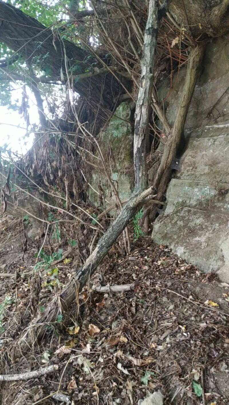 GROTTE RUPESTRI TUSCIA