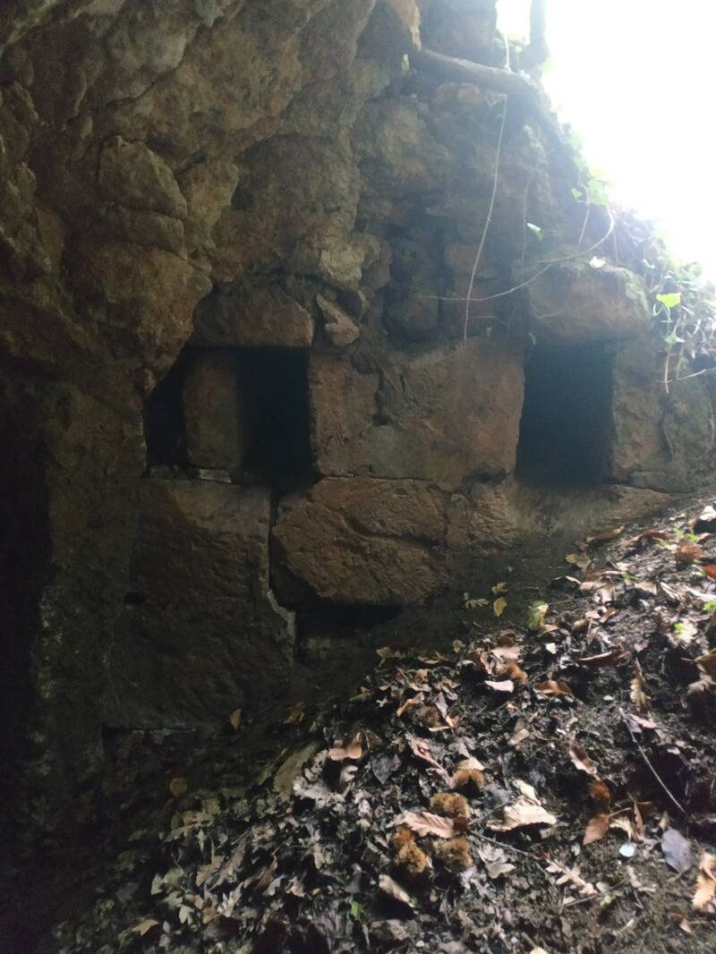 GROTTA CON CUNICOLI IDRAULICI- PARETE DI CONCI ALL'INGRESSO DELLA GROTTA ALLAGATA