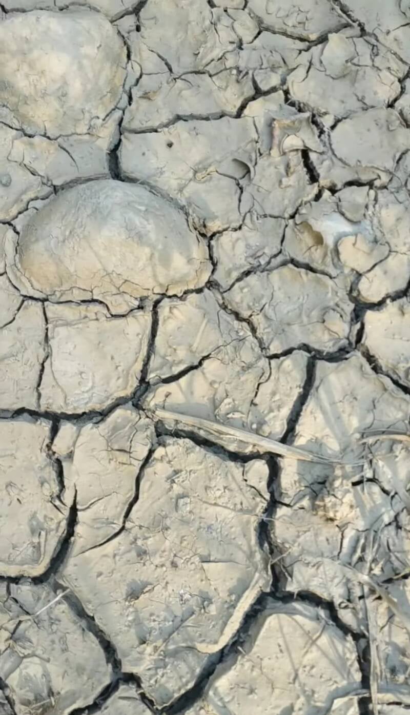 LA CRISI DELL'ACQUA. "IL CIGLIO DI SCAVO-Dallo Strato Zero in Poi" A CURA DI ILARIA PETTINELLI