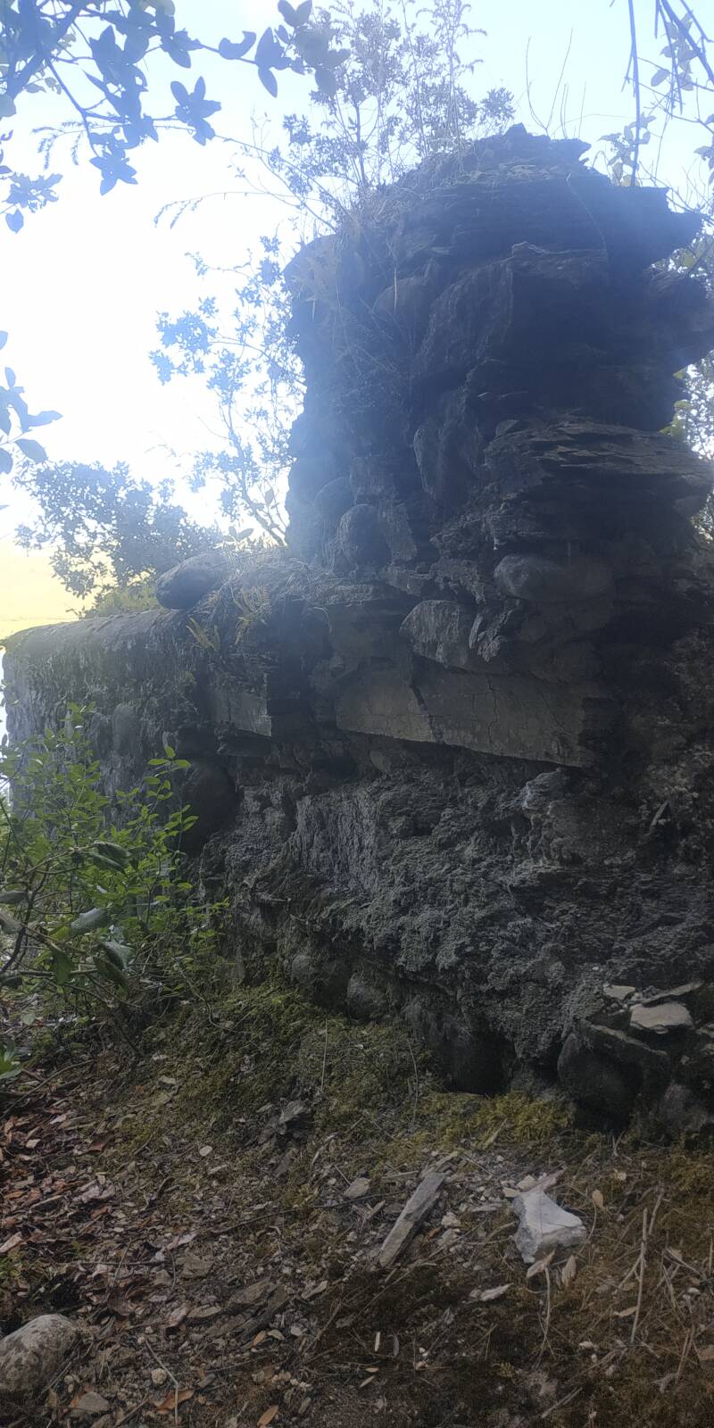 LAGO DI CORBARA- ORVIETO. ANTICHE ROVINE. MURO PERIMETRALE DIRUTO